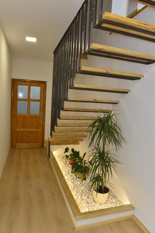 Milosavljevic Apartments Tivat Luaran gambar