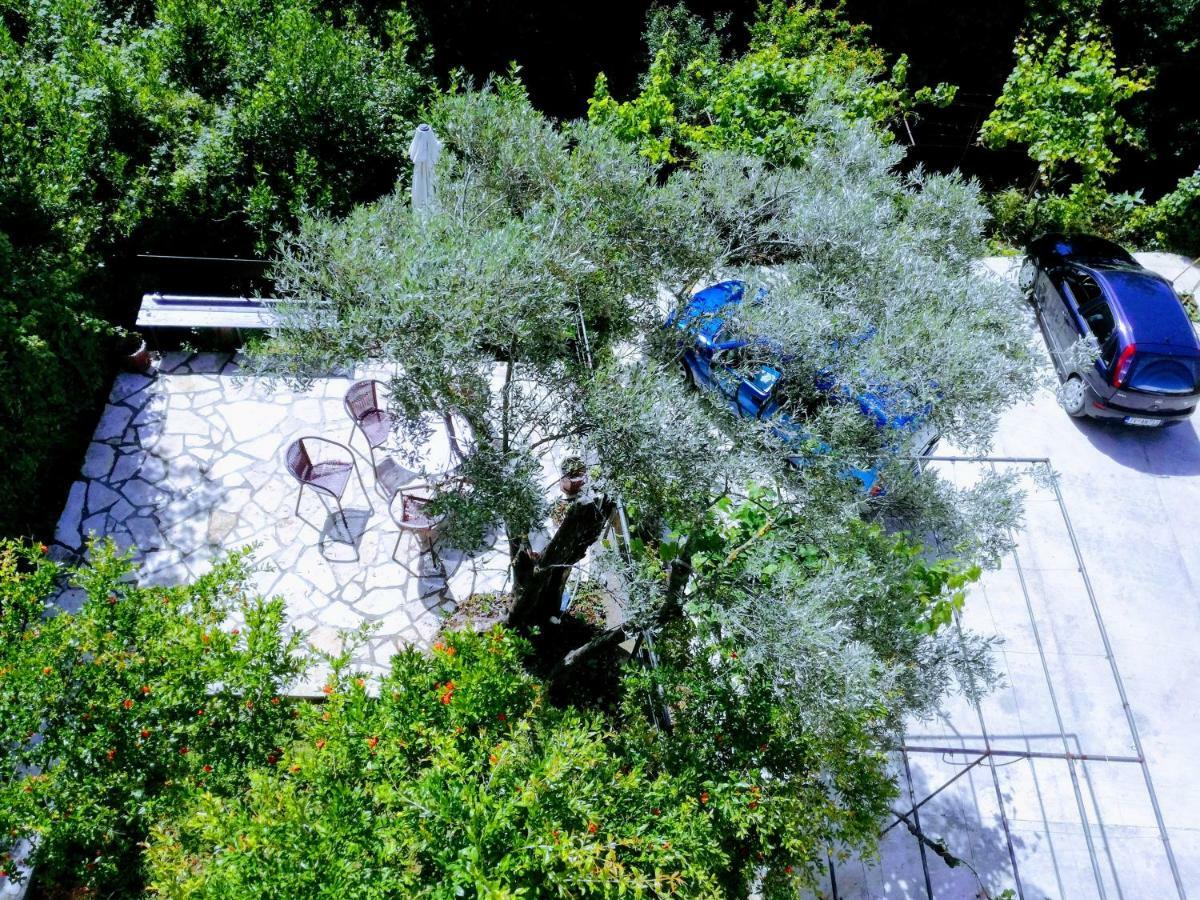 Milosavljevic Apartments Tivat Luaran gambar